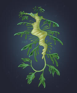 Sea Dragon Sea Dragon