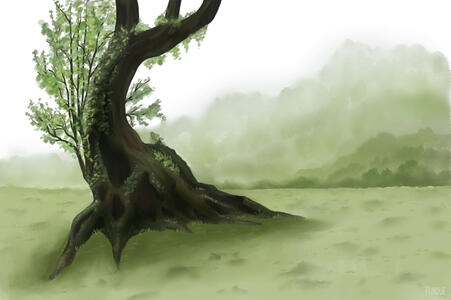 Branchy Tree Branchy Tree