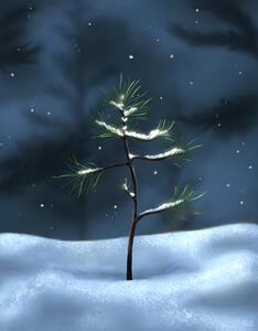 Snow Sapling Snow Sapling