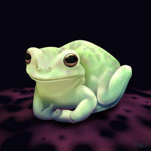 Frog Frog