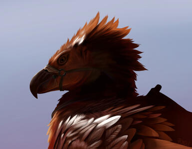 Ark Argy Ark Argy