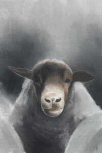 One Brush Sheep One Brush Sheep