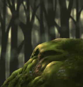 Mossy Rock Mossy Rock